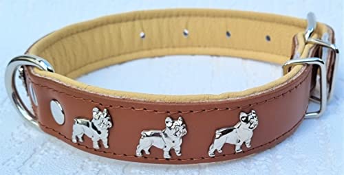 Bully Französische Bulldogge Frenchie Halsband - Halsumfang 30-39cm/30mm, 32-44cm/30mm, 36-49cm/30mm Leder Cognac Beige (3. Halsumfang 36-49cm/30mm/55cm)