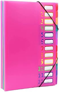 VANHVIS Expanding File Folders A4 Letter Size, 24 Pockets Plastic Accordion Document Organizer Colourful File Folders for School Office Supplies (Hot Pink)