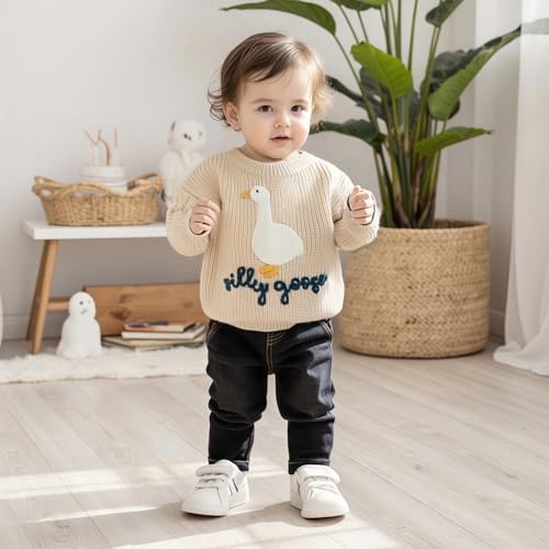 Toddler Baby Boy Girl Knit Sweater Silly Goose Embroidery Long Sleeve Knitted Sweatshirt Warm Fall Winter Clothes3