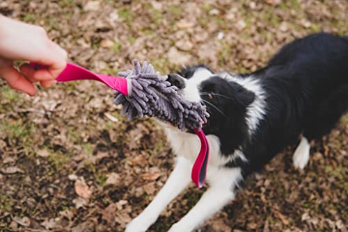 Dingo Mop mit Zwei Griff Hundespielzeug länge 60 cm Agility Apporte Motivation Spiel mit Hund Zerrspielzeuge Training Mehrfarbig 15576