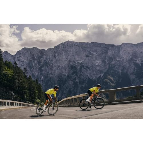 GORE WEAR Gorewear Unisex Essential Daily Socks3