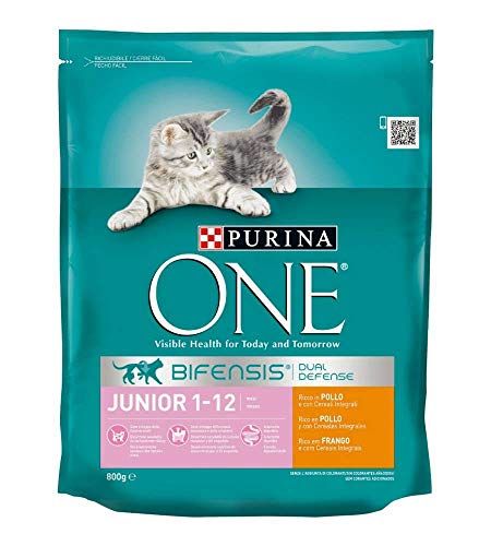 Purina One Bifensis Cat Junior