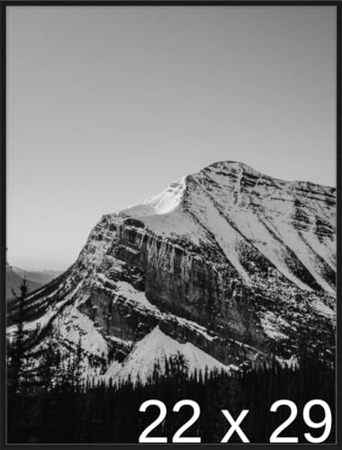 Frame It Easy 22 x 29 Satin Black Metal Frame (Ashford)