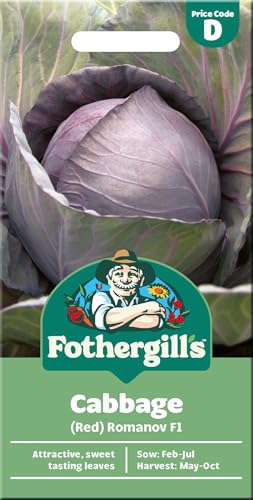 Fothergill's Red Cabbage 'Romanov F1' Seeds â€“ Sweet Flavour â€“ Up to 2kg Heads â€“ Ideal for UK Gardens & Allotments â€“ Average of 30 Romanov Red Cabbage Seeds for Planting UK - Vegetable