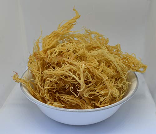 Wildcrafted Irish Moss/Sea Moss - 100% Natural, Raw, Vegan, Now Imported from St. Lucia - Salt Free, Sand Free and Completely Dry - (8oz)