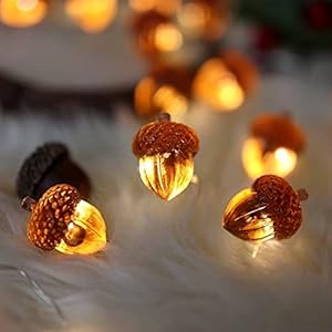 Decorative Fairy Acorn String Lights Thanksgiving Decoration Autumn Garland Cute Novelty Lights 30 LEDs 10 ft Battery Operated for Bedroom Wedding Birthday Harvest Decor Decorative Fairy Acorn String Lights Thanksgiving Decoration Autumn Garland Cute Novelty Lights 30 LEDs 10 ft Battery Operated for Bedroom Wedding Birthday Harvest Decor