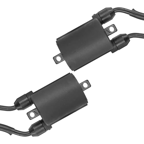 Caltric Two Sets Of Ignition Coil Compatible with Honda 1100 Vt1100T Vt1100D2 Shadow Ace/Shadow Amer 1998-2001