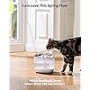 eufy-Pet-Water-Fountain-Automatic-Water-Dispenser-for-Small-Dogs-and-Cats-Stainless-Steel-Cat-Water-Fountain-3-L-Capacity-Innovative-Safe-Sip-Pump-Cleans-Water-and-Removes-Induction-Electricity Automatic Water Dispenser for Small Dogs