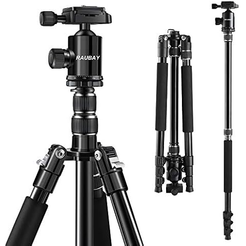 RAUBAY 77.8" DSLR Camera Tripod & Monopod, Lightweight Portable Tripod for Travel & Work with Detachable Center Column and 360° Panorama Ball Head, 1/4" QR Plate, Aluminum Stand with 3 Sections Cover