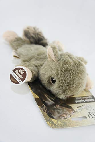 Ophelie Squirrel AFP para Cães