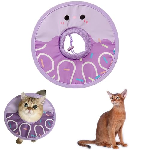 Lifetips �A�r�V�j�A�� Abyssinian �� �G���U�x�X�J���[ �L �G���U�x�X�J���[ �y�b�g�p �h�� �\�t�g �^�C�v ���L���p �p�� �P�A ���� �ی� ��� ��� �y�b�g �Ō� �p�i �y�� �₳���� �����S�n ���� �g�p �i�A�C�X�p�[�v���j �i