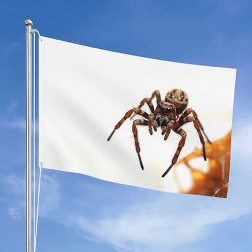 Drapeau araignée marron grand format pour sublimer la décoration murale