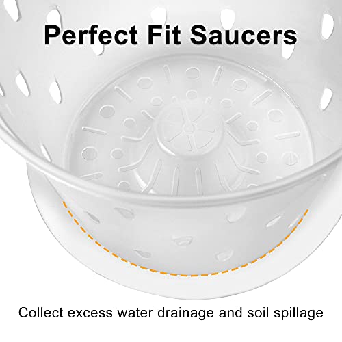 Orchid Pot, 7 Inch 8 Pack Orchid Pots with Holes and Saucers, Clear Plastic Plant Pot Indoor