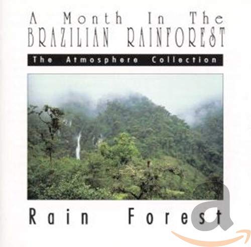 Rain Forest