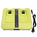 Biswaye Dual Chemistry 18V Battery Charger for Ryobi P117 P118, Compatible Ryobi 12V 18V ONE+ Lithium NiCd NiMh Battery P100 P101 P102 P103 P105 P107 P108 P200 with 2 USB Ports
