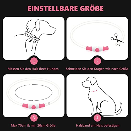 SerDa-Run Hundehalsband Leuchtend,Einstellbar Sicherheit Hundehalsband mit 3 Beleuchtungsmodi,USB Aufladbar Wasserdichtes LED Leuchthalsband für Große, mittlere und kleine Hunde