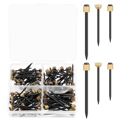 120 Piezas Clavos de Suspensión de Fotos