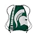 NCAA Michigan State Spartans 2015 Drawstring Backpack, Green