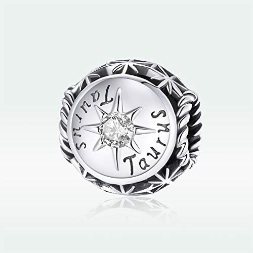 Image of 12 Constellation Charms 925 Sterling Silver Crystal Zircon Charms Family and Friends' Birthday Charm Birthstone Charms for Women Bracelets
