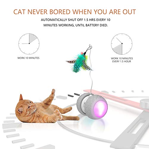Interactive Cat Feather Toy