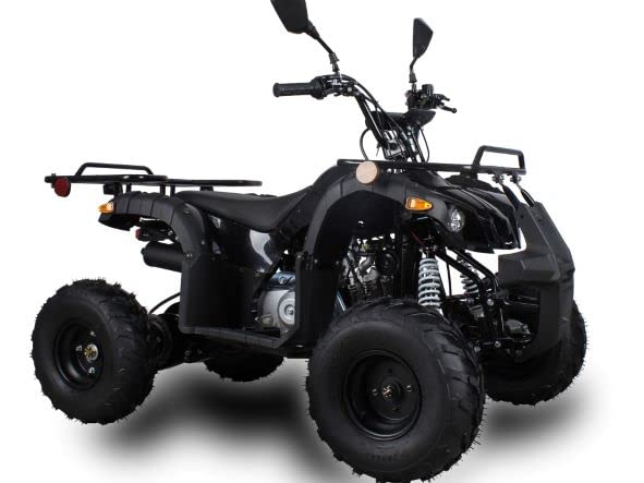Amazon | IceBear(アイスベアー) 四輪バギー ATV 50cc 前進1速バック付 
