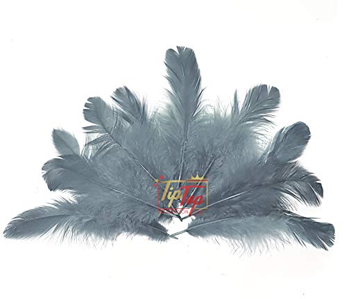Image of TIPTOP DECORATION Natural Dyed Feathers 10 cm (80 pieces) (Grey)