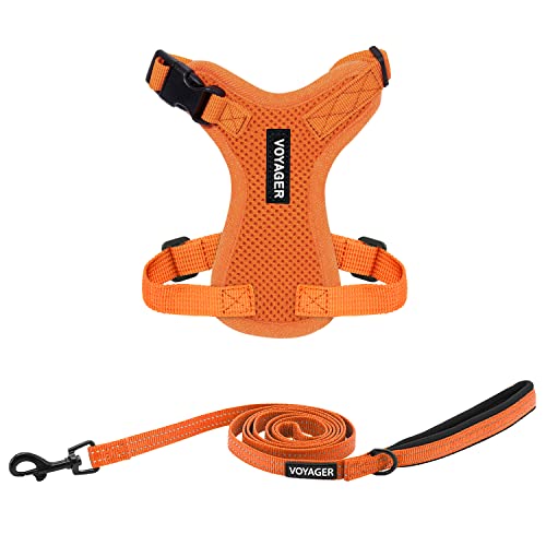 Image of Best Pet Supplies Voyager Step-in Lock Pet Harness w Reflective Pet Leash Combo Set with Neoprene Handle 5ft - Supports Small, Medium and Large Breed Puppies /Cats - Orange Set, XXXS
