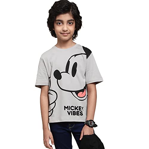 Image of Kidsville Boy's Cartoon Regular Fit STY-22-23-MICFRI
