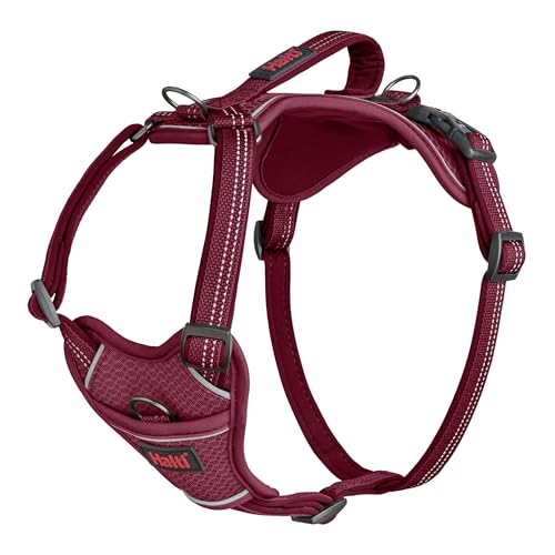Halti Anatomy Dog Harness with Handle - Padded, Adjustable & Reflective No Pull Dog Harness, 3 Leash Attachment Points Including Front Clip, Suitable for Small Dogs (Size XS, Magenta)