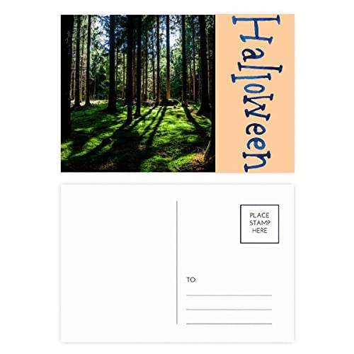Cartes postales Halloween en lot de 20 pour décorer une table automnale et verte