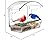 BPYOT Clear Acrylic Window Bird Feeder for Outside with 4 Strong Suction Cups and Detachable Seed Tray, Highly Transparent Outdoor Viewing Birdfeeder, Wild Bird House Box