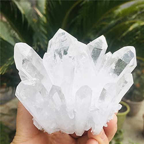 Kolekcje domowe Naturalne przezroczyste minerały kwarcowe do kamienia Wyposażenie domu Dekoracja Prezent (rozmiar: 300-400g) (rozmiar: 500-600g)