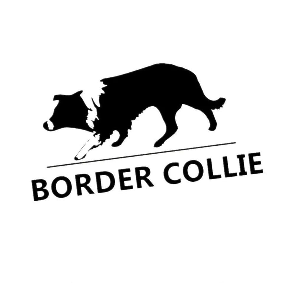 Decal Border Collie Car Sticker Waterproof Auto Decors On Car Body Bumper Rear Window(Black)