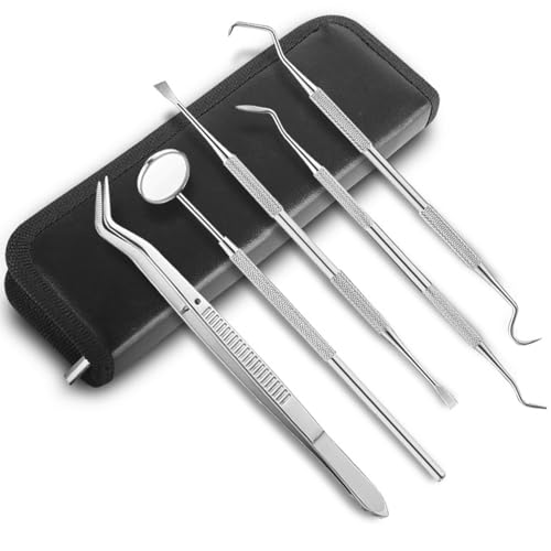 Image of Professional Oral Care Kit Advanced Clean- Portable Dental Tools,Stainless Steel Dental Hygiene Kit with Dental Picks for Men Women Kids and Pet Care(5pack)- with Case