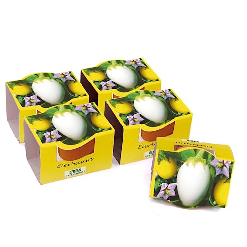 Bull & Bear 5er Set Mini Pflanzset Eierbaum mit Samen im Topf 4,5 cm und Pflegeanleitung