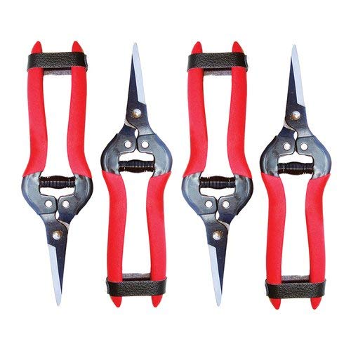 Red Rooster Grape Clipper Straight Blades - 4-Pack