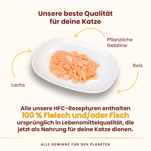 Almo Nature HFC Jelly - Nassfutter für ausgewachsene Katzen - Lachs - Human Grade, Glutenfrei & Monoprotein - 6 x 70g