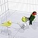 Lot of 6 Aviary Breeding Bird Finch Parakeet Aviary Canary Lovebird Budgie Flight Cage 24