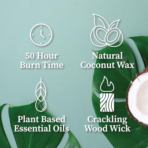 Hemlock-Park-Wood-Wick-Candle-Handcrafted-with-Natural-Coconut-Wax-and-Essential-Oils-Amber-Gold-72-oz-Palo-Santo