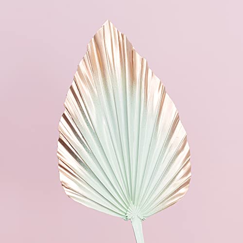 The Baked Studio - Dried Palm Leaf Leaves Palm Spear Cake Topper for Cake Decoration (Mint & Gold Ombre), 15cm x 18cm - Image 4