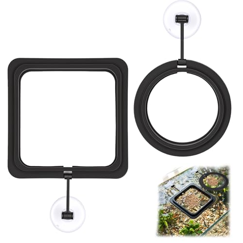 2 Pcs Fish Feeding Ring Round and Square Floating Food Feeder with Suction Cup Small Food Feeder for Goldfish Guppy