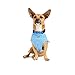 YOULY Blue Underlay for Dogs, Small