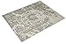 SAFAVIEH Area Rug 8x10 - Adirondack Collection - Large - Ivory & Silver, Oriental Distressed Design, Non-Shedding & Easy Cleaning, Ideal for Living Room, Bedroom, Office, Dining Space (ADR101B)