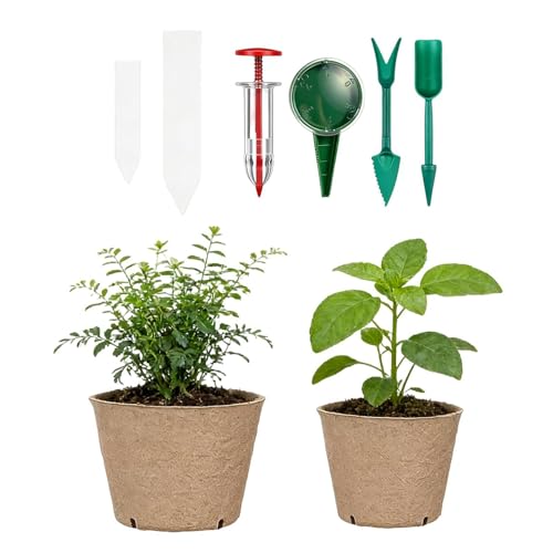 Macetas para plántulas con drenaje activo que evitan la asfixia radicular en patio 2