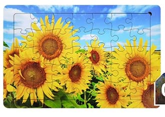 ゴッホ 花 絵画 パズルの人気商品 通販 価格比較 価格 Com ゴッホ 花 絵画 パズルの人気商品 通販 価格比較 価格 Com