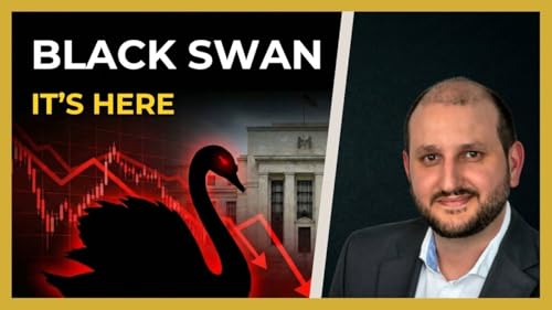 MARKET ALERT: Panic, Rescue & The Black Swan #investing #stocks #economy