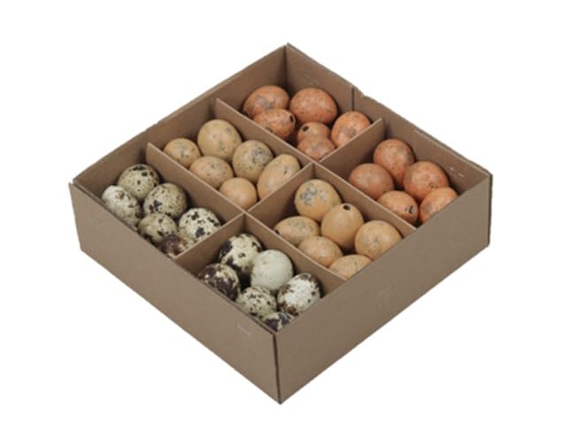 Pack of 72 Quail Eggs Natural Grey Yellow Mix Blown Natural Decoration Country House Easter Decoration Crafts Nursery Easter Decoration Eggs Quails Decorative Eggs Easter Decoration