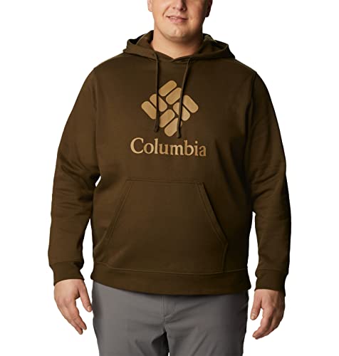 Image of Columbia mens Trek Hoodie