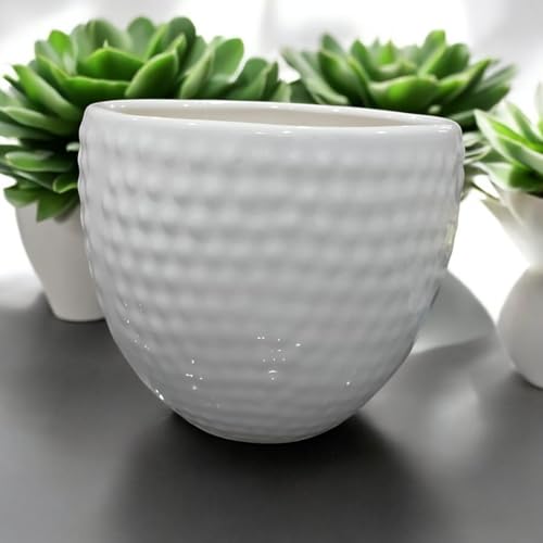 Image of Ceramic Planter Pot with Spiral Design, 17.78cm Height, White Planter Vase for Indoor Plants, Living Room Office Gardens (7 inch) Round (Dot Apple Pot)