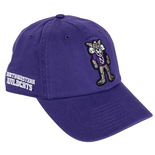 Desert Cactus Northwestern University Gorra de Béisbol miniatura 1